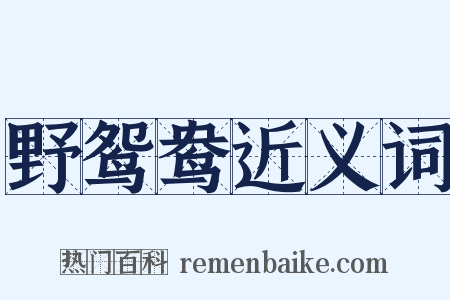 野鸳鸯近义词是什么意思的图片